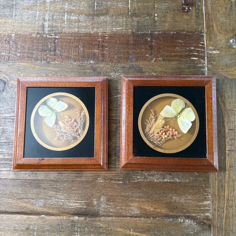 Set of 2 Framed Botanical Shadowbox Art with Green Floral Accents. MCM